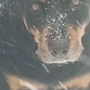 Meet your Posher, Mike